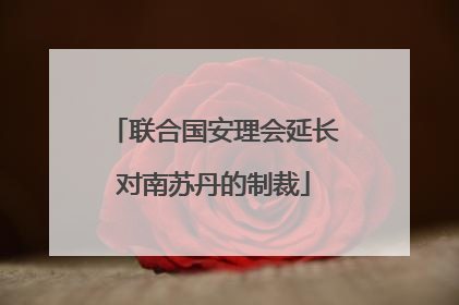 联合国安理会延长对南苏丹的制裁