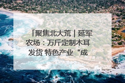 聚焦北大荒｜延军农场：万斤定制木耳发货 特色产业“成绩单”亮眼