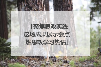 聚焦思政实践 这场成果展示会点燃思政学习热情