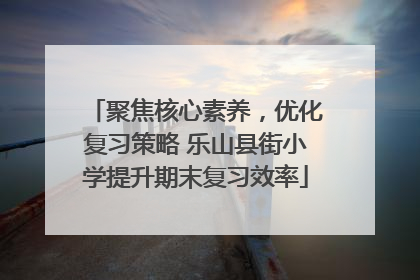 聚焦核心素养，优化复习策略 乐山县街小学提升期末复习效率