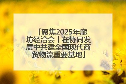 聚焦2025年廊坊经洽会丨在协同发展中共建全国现代商贸物流重要基地