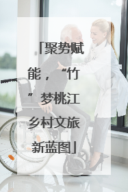 聚势赋能，“竹”梦桃江乡村文旅新蓝图