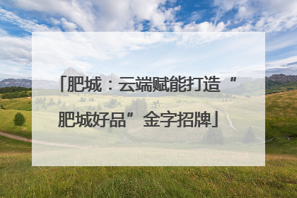 肥城：云端赋能打造“肥城好品”金字招牌