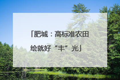 肥城：高标准农田绘就好“丰”光