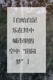 自给自足 乐在其中 城市里的空中“田园梦”