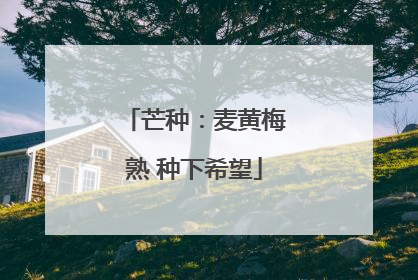 芒种：麦黄梅熟 种下希望
