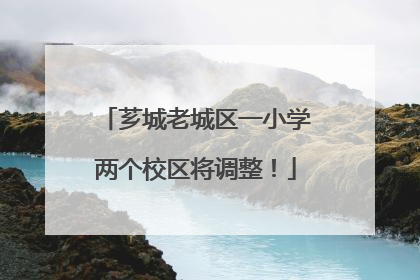 芗城老城区一小学两个校区将调整！