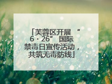 芙蓉区开展 “6・26” 国际禁毒日宣传活动，共筑无毒防线