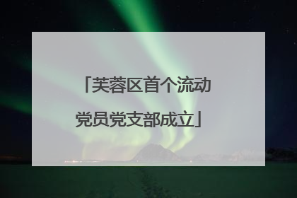 芙蓉区首个流动党员党支部成立