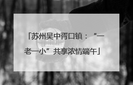 苏州吴中胥口镇：“一老一小”共享浓情端午