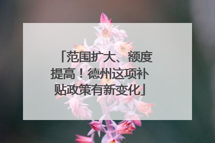 范围扩大、额度提高！德州这项补贴政策有新变化
