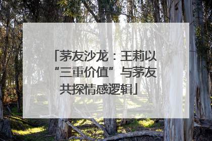 茅友沙龙：王莉以“三重价值”与茅友共探情感逻辑