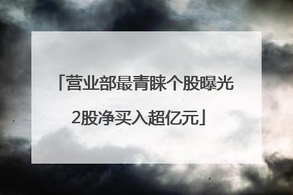 营业部最青睐个股曝光 2股净买入超亿元