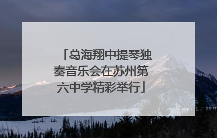 葛海翔中提琴独奏音乐会在苏州第六中学精彩举行