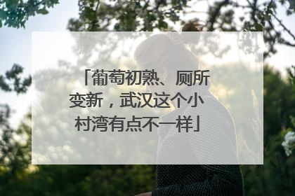 葡萄初熟、厕所变新，武汉这个小村湾有点不一样