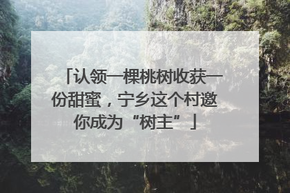 认领一棵桃树收获一份甜蜜，宁乡这个村邀你成为“树主”