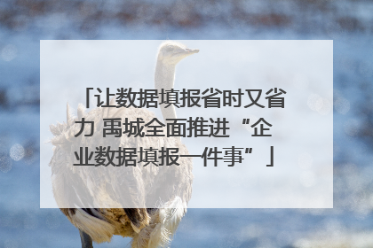 让数据填报省时又省力 禹城全面推进“企业数据填报一件事”