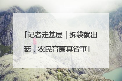 记者走基层｜拆袋就出菇，农民育菌真省事