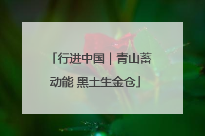 行进中国｜青山蓄动能 黑土生金仓