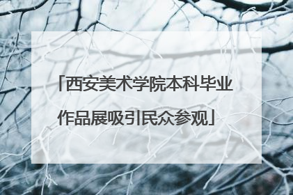 西安美术学院本科毕业作品展吸引民众参观