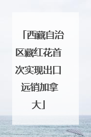 西藏自治区藏红花首次实现出口 远销加拿大