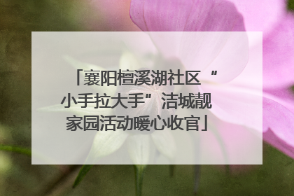 襄阳檀溪湖社区“小手拉大手”洁城靓家园活动暖心收官