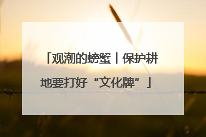 观潮的螃蟹丨保护耕地要打好“文化牌”