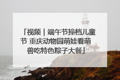 视频｜端午节撞档儿童节 重庆动物园萌娃看萌兽吃特色粽子大餐