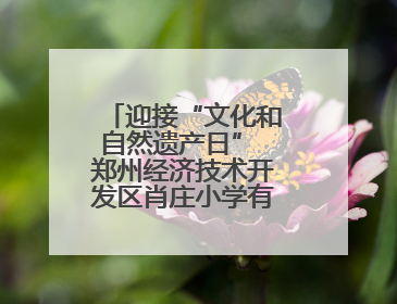 迎接“文化和自然遗产日” 郑州经济技术开发区肖庄小学有“节目”