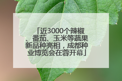 近3000个辣椒、番茄、玉米等蔬果新品种亮相，成都种业博览会在蓉开幕