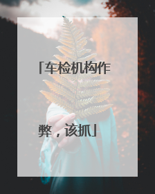 车检机构作弊，该抓