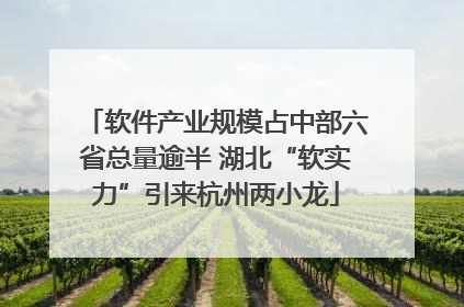 软件产业规模占中部六省总量逾半 湖北“软实力”引来杭州两小龙