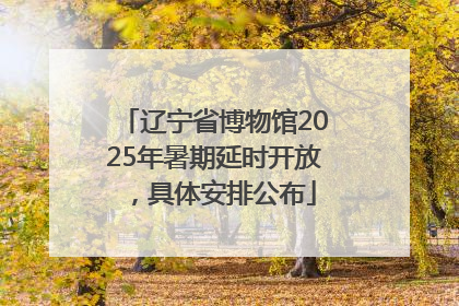 辽宁省博物馆2025年暑期延时开放，具体安排公布