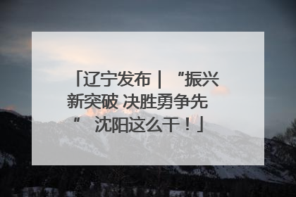 辽宁发布｜“振兴新突破 决胜勇争先” 沈阳这么干！