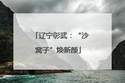 辽宁彰武：“沙窝子”焕新颜
