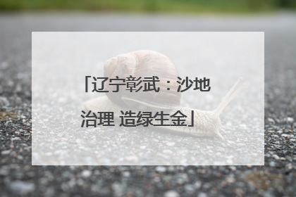 辽宁彰武：沙地治理 造绿生金