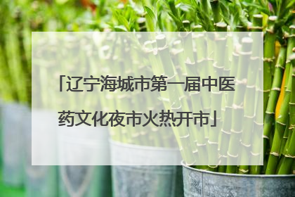 辽宁海城市第一届中医药文化夜市火热开市