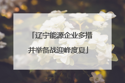 辽宁能源企业多措并举备战迎峰度夏