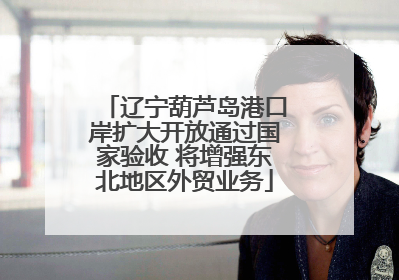 辽宁葫芦岛港口岸扩大开放通过国家验收 将增强东北地区外贸业务
