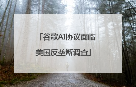 谷歌AI协议面临美国反垄断调查