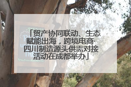 贸产协同联动、生态赋能出海，跨境电商·四川制造源头供需对接活动在成都举办