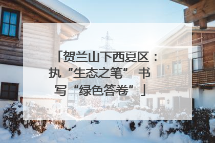 贺兰山下西夏区：执“生态之笔” 书写“绿色答卷”