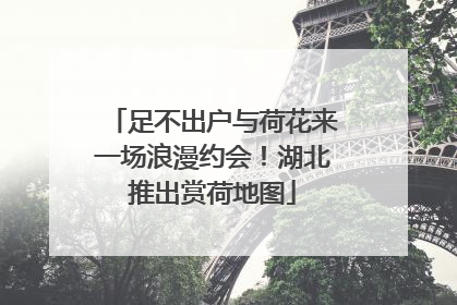 足不出户与荷花来一场浪漫约会！湖北推出赏荷地图