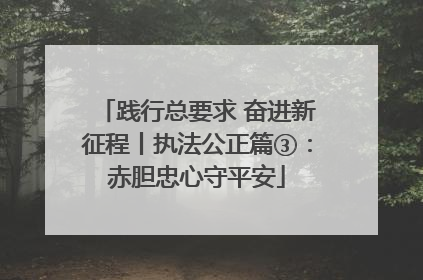 践行总要求 奋进新征程丨执法公正篇③：赤胆忠心守平安