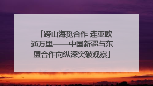 跨山海觅合作 连亚欧通万里——中国新疆与东盟合作向纵深突破观察
