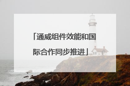 通威组件效能和国际合作同步推进