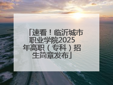 速看！临沂城市职业学院2025年高职（专科）招生简章发布