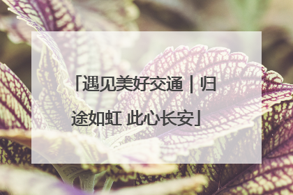 遇见美好交通｜归途如虹 此心长安