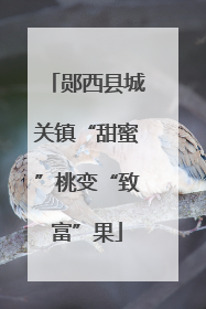 郧西县城关镇“甜蜜”桃变“致富”果
