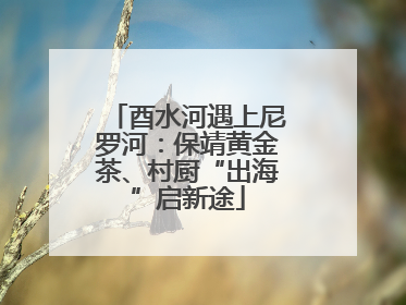 酉水河遇上尼罗河：保靖黄金茶、村厨“出海”启新途